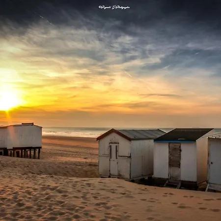 Cosy En Centre-ville *